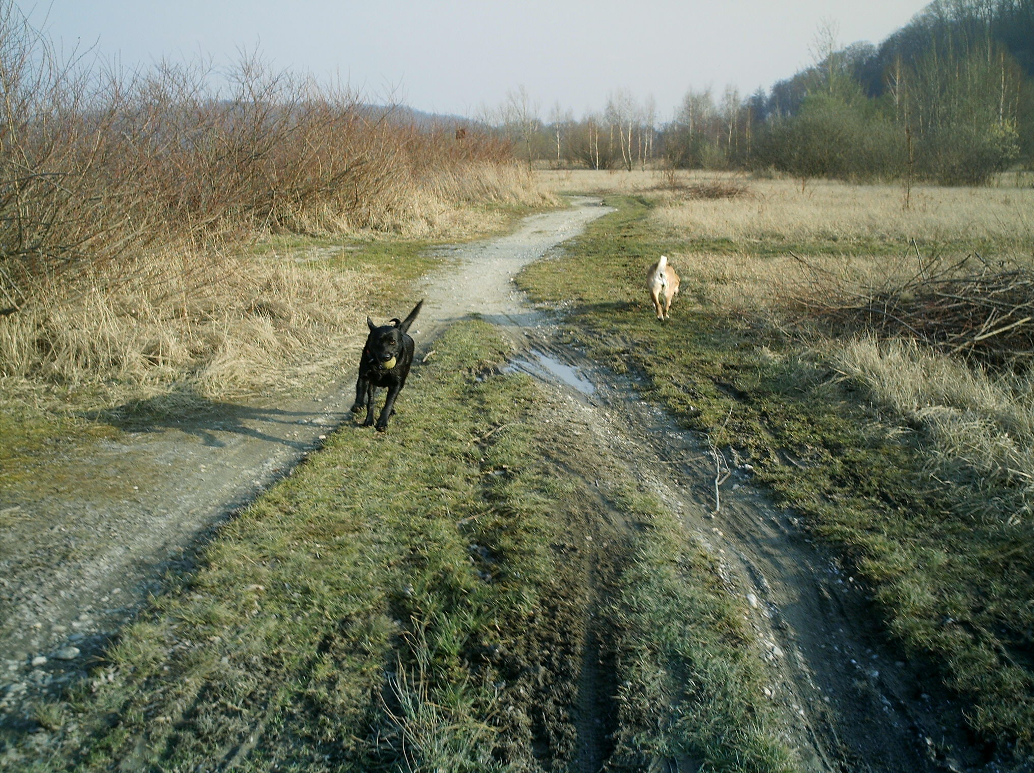 9[1].brezen 2008 020.jpg